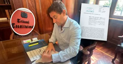 Reggiardo busca realizar elecciones complementarias.