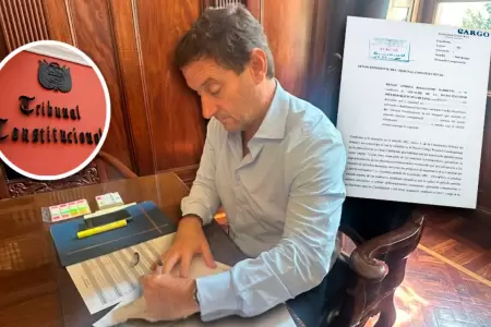 Reggiardo busca realizar elecciones complementarias.