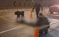 Tragedia en la V�a Expresa: joven de 28 a�os muere atropellado y conductor se da a la fuga