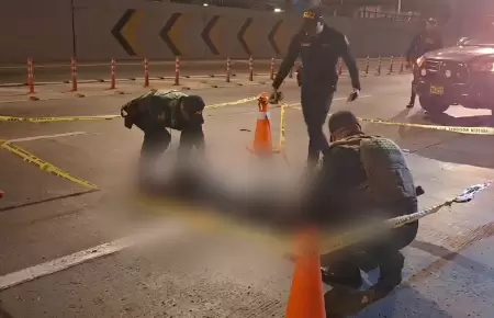 Hombre muere atropellado en la V�a Expresa