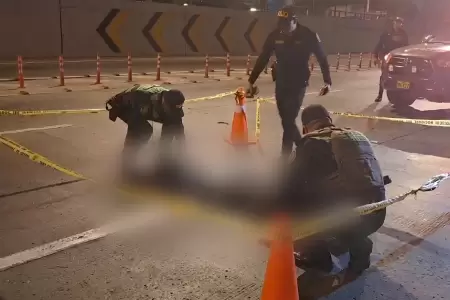 Hombre muere atropellado en la V�a Expresa