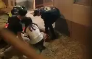 Comas: Beb� de un a�o cae de octavo piso al intentar recuperar su peluche en el condominio Acacias