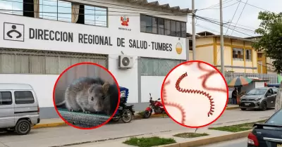 Incrementa a 135 los casos confirmados de leptospirosis en Tumbes