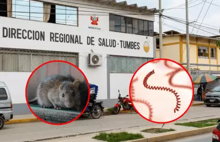 Incrementa a 135 los casos confirmados de leptospirosis en Tumbes