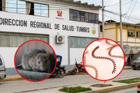 Incrementa a 135 los casos confirmados de leptospirosis en Tumbes
