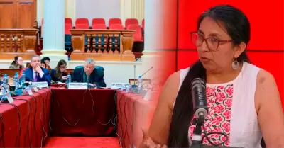La parlamentaria denuncia instrumentalizaci�n de colegas.