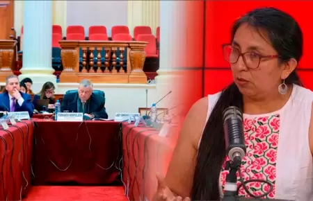 La parlamentaria denuncia instrumentalizaci�n de colegas.