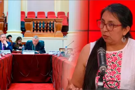 La parlamentaria denuncia instrumentalizaci�n de colegas.