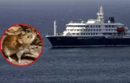 Hantavirus que caus� la muerte de 3 personas en crucero es de cepa Andes, transmisible entre humanos