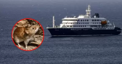 Hantavirus que caus� la muerte de 3 personas en crucero es de cepa Andes