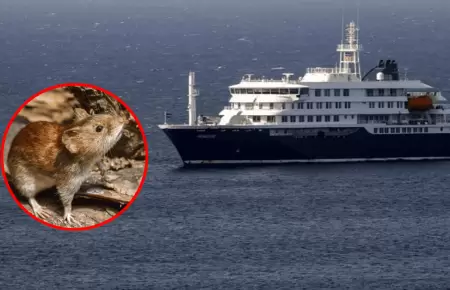 Hantavirus que caus� la muerte de 3 personas en crucero es de cepa Andes