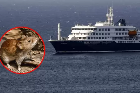 Hantavirus que caus� la muerte de 3 personas en crucero es de cepa Andes