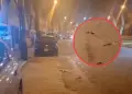 Caos en el Callao: Delincuentes enca�onan y golpean a joven de 21 a�os en la avenida Central