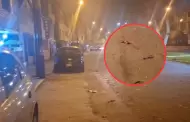 Caos en el Callao: Delincuentes enca�onan y golpean a joven de 21 a�os en la avenida Central