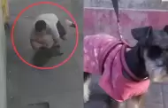 �H�roe sin capa! Hombre salva a perrito que ca�a desde un tercer piso y se vuelve viral en El Agustino