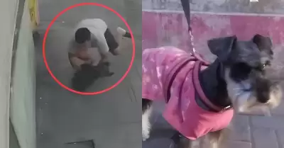 Hombre salva a perrito