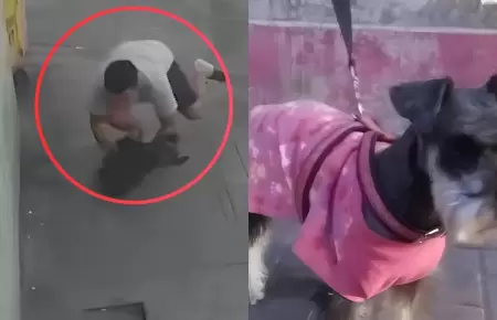 Hombre salva a perrito
