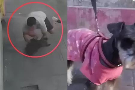 Hombre salva a perrito