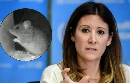 OMS descarta que el hantavirus pueda ser una pandemia mundial como la del corona