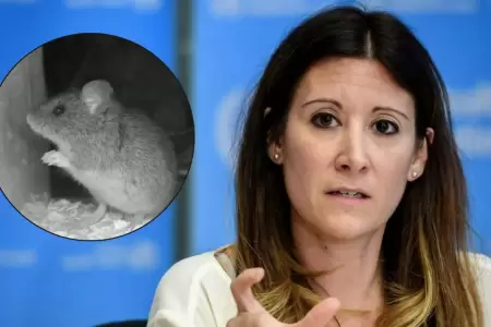 OMS descarta que el hantavirus pueda ser una pandemia mundial como la del corona