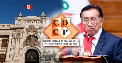 Colegios profesionales exigen al presidente Balc�zar que observe ley que vulnera