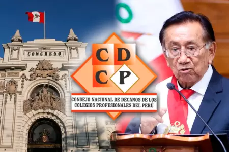 Colegios profesionales exigen al presidente Balc�zar que observe ley que vulnera