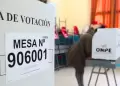 Elecciones 2026: Conoce cu�les son los pasos para pagar la multa electoral antes de la segunda vuelta