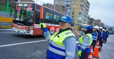 Buses vuelven a circular por tramo de la Av. 28 de Julio