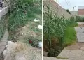 Acequia abandonada genera alarma por dengue en Pocollay