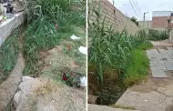 Acequia abandonada genera alarma por dengue en Pocollay