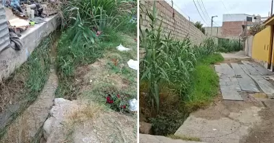 Acequia genera alarma de dengue en Pocollay