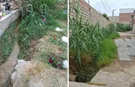 Acequia genera alarma de dengue en Pocollay