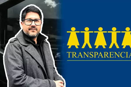 Henzler present� su renuncia a la asociaci�n encargada de la vigilancia electora