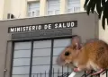 Prevenci�n de Hantavirus: Minsa garantiza vigilancia epidemiol�gica en aeropuertos y puertos de todo el pa�s