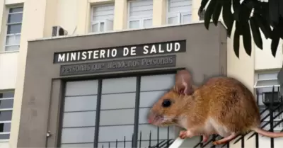 Minsa garantiza vigilancia epidemiol�gica
