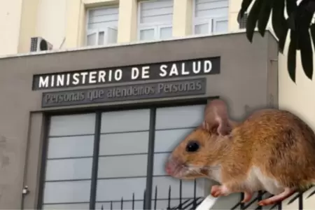 Minsa garantiza vigilancia epidemiol�gica