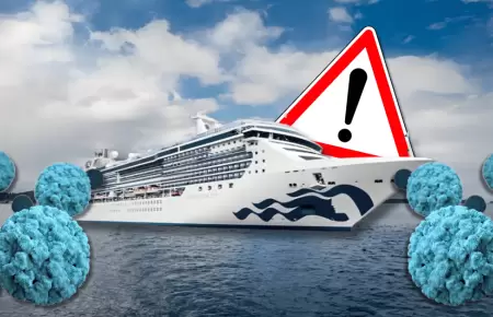 M�s de 100 personas enfermas por norovirus en crucero