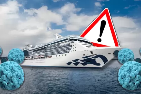 M�s de 100 personas enfermas por norovirus en crucero