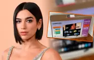 Dua Lipa demanda a reconocida marca de televisores por usar su imagen: Pide 15 millones de d�lares