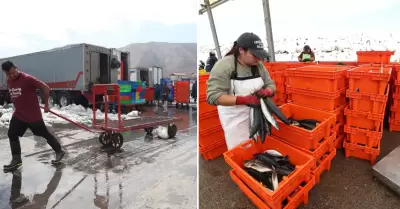 Lavan pescado con agua contaminada en el Morro Sama en Tacna