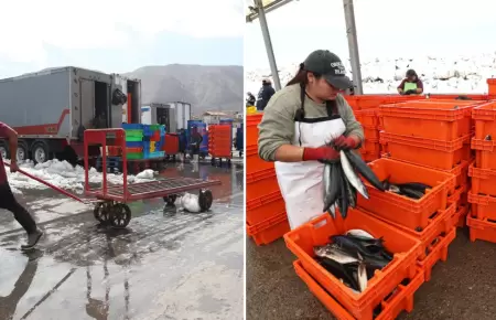 Lavan pescado con agua contaminada en el Morro Sama en Tacna