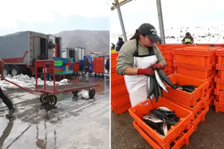 Lavan pescado con agua contaminada en el Morro Sama en Tacna