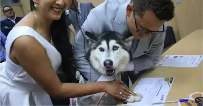 Registro Civil en Ecuador acepta nueva modalidad de testigos para los matrimonio