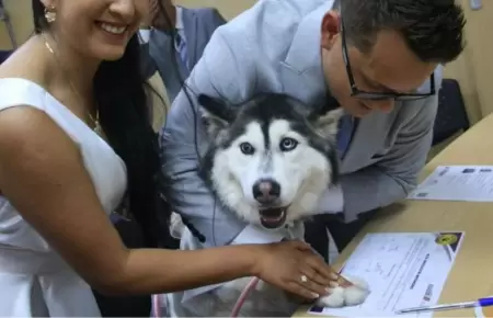 Registro Civil en Ecuador acepta nueva modalidad de testigos para los matrimonio
