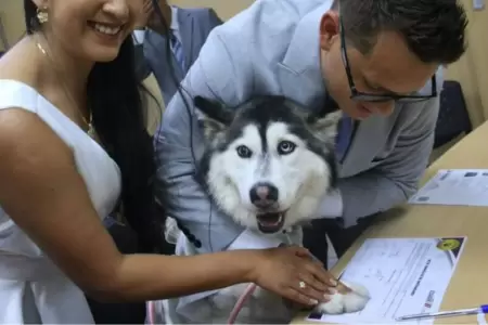 Registro Civil en Ecuador acepta nueva modalidad de testigos para los matrimonio