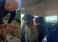 Perrito se reencuentra con su due�o