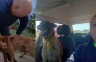 Perrito perdido se reencuentra con su dueño después de varios días y genera ternura en redes
