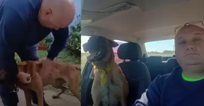 Perrito se reencuentra con su due�o