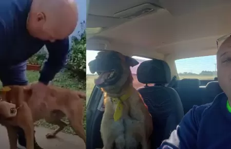 Perrito se reencuentra con su due�o