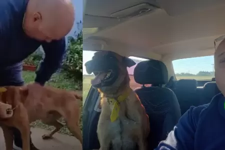 Perrito se reencuentra con su due�o